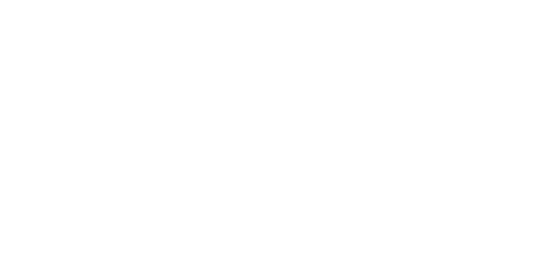 에이스 넷 Logo