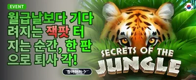 매주 쏟아지는 VIP 캐시백 리베이트 promotion banner